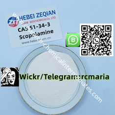 China CAS 51-34-3   Scopolamine  Wickr/Telegram:rcmaria supplier